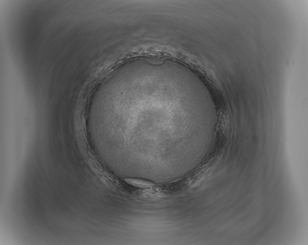 X0000110891489200906251307