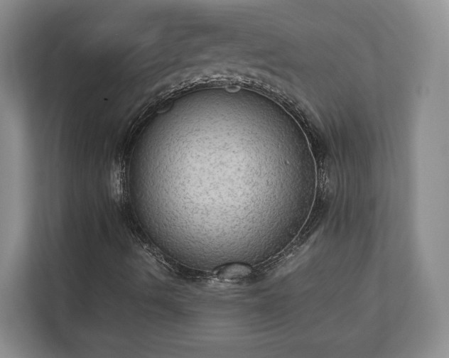 X0000110891490200906251307