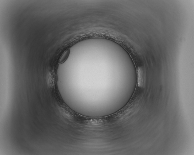X0000110891491200906251307