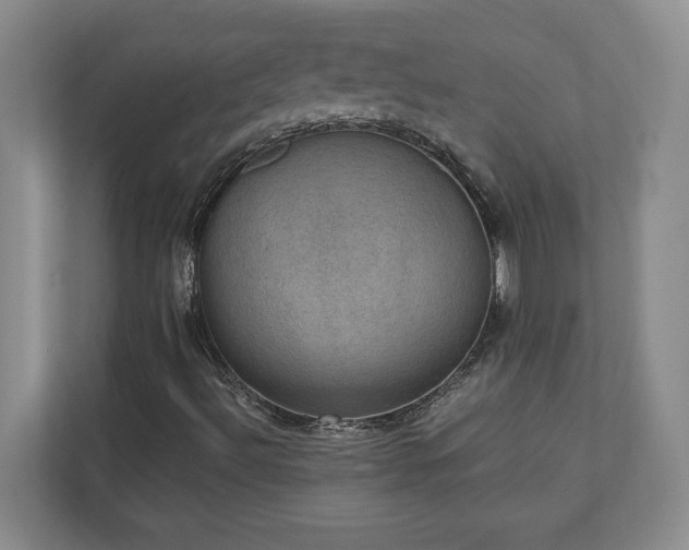 X0000110891492200906251307