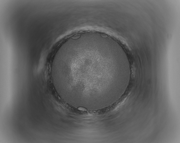 X0000110891494200906251307