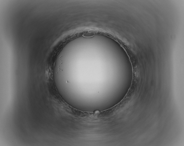 X0000110891495200906251307