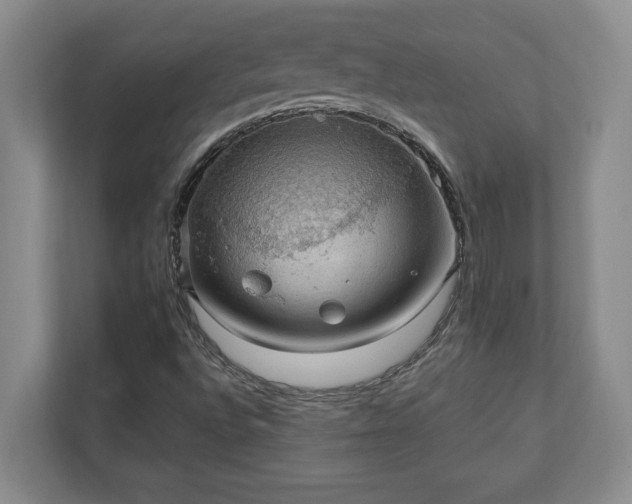 X0000110891496200906251307