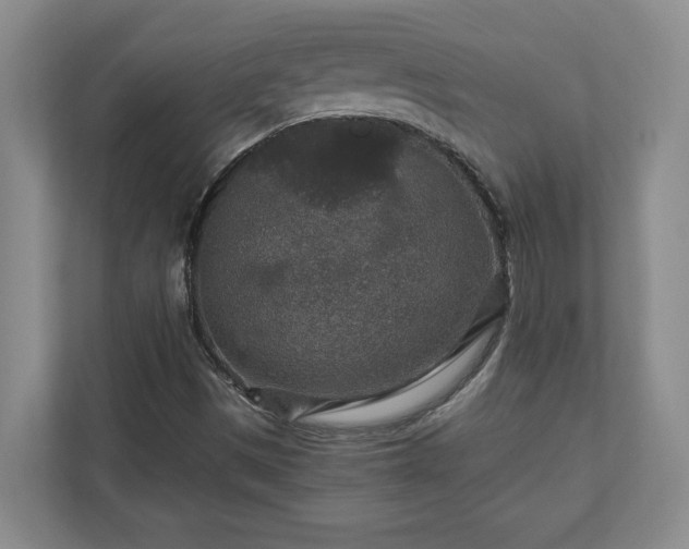 X0000110891497200906251307