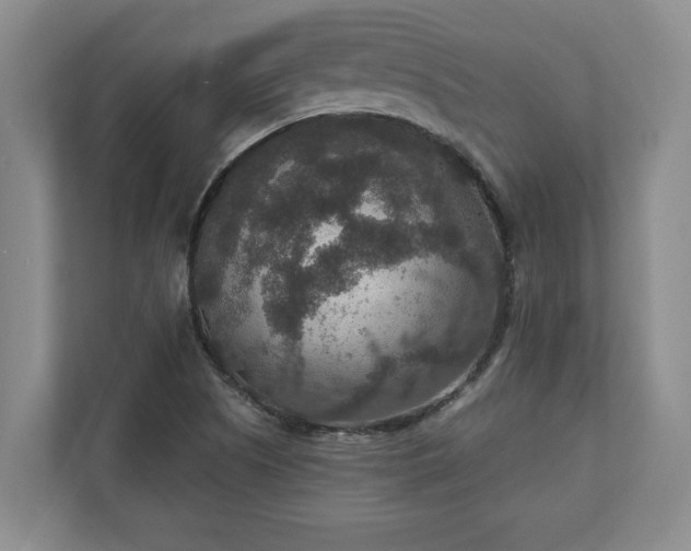 X0000110891505200906251307