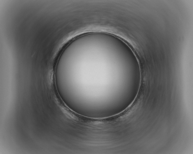 X0000110891507200906251307