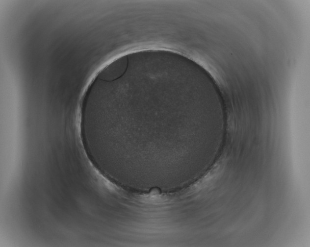 X0000110891508200906251307