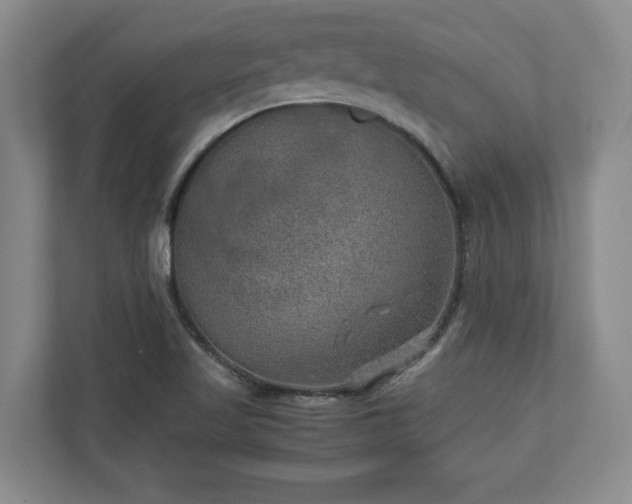 X0000110891509200906251307