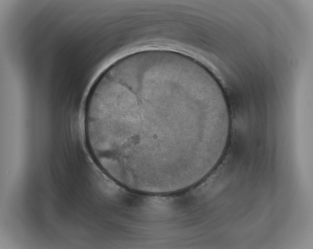 X0000110891514200906251307