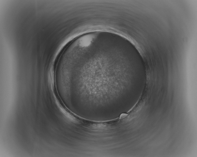 X0000110891515200906251307
