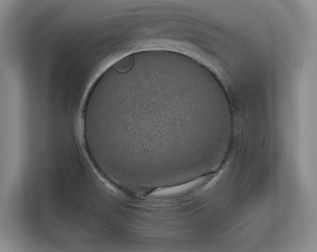 X0000110891517200906251307