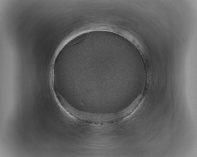 X0000110891520200906251307