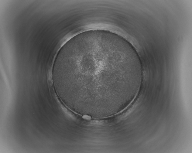 X0000110891521200906251307