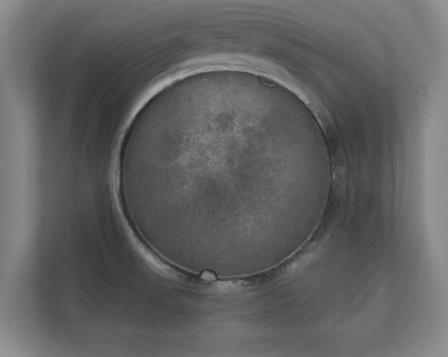 X0000110891523200906251307