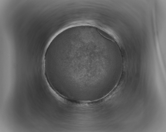 X0000110891524200906251307