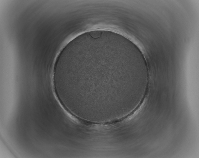 X0000110891525200906251307