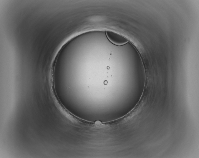 X0000110891526200906251307