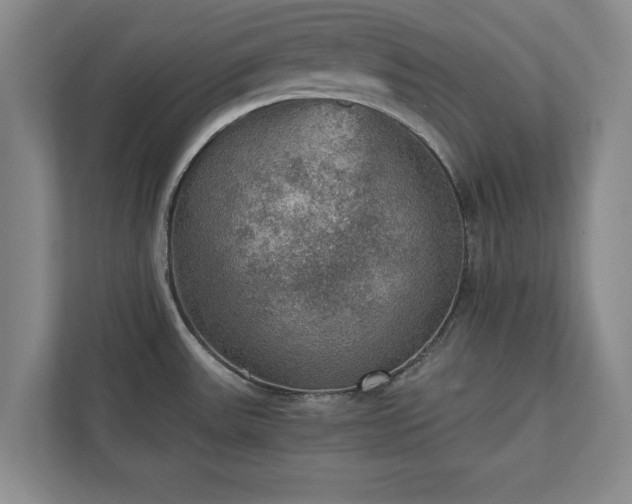 X0000110891531200906251307