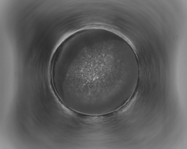 X0000110891533200906251307