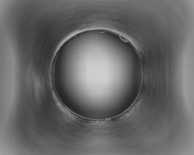 X0000110891534200906251307