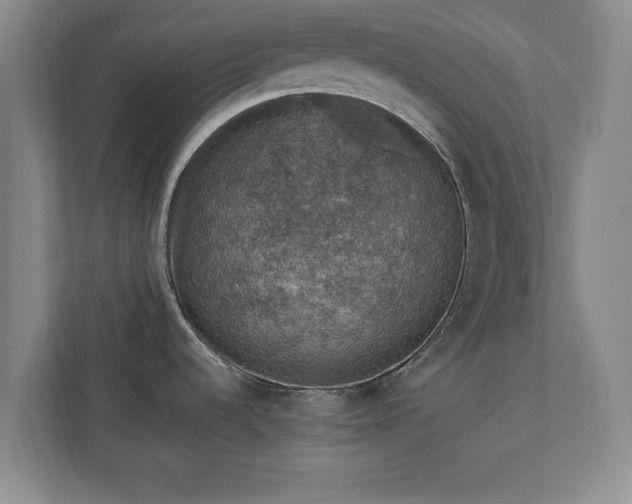 X0000110891536200906251307