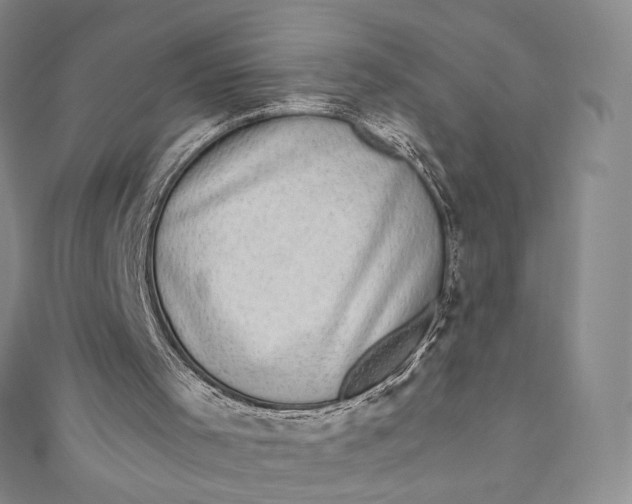 X0000110890001200907021527