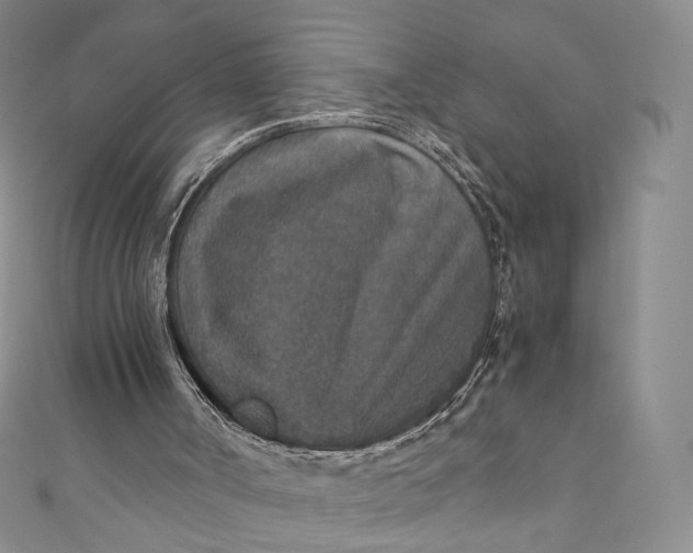 X0000110890002200907021527