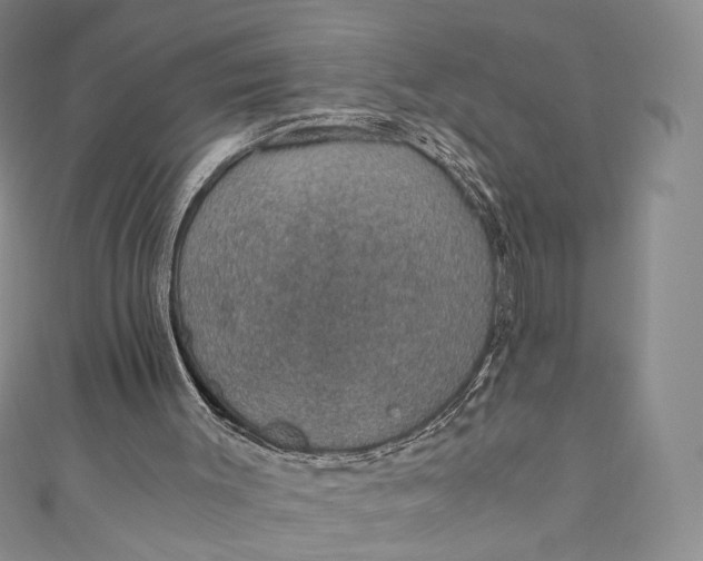 X0000110890003200907021527