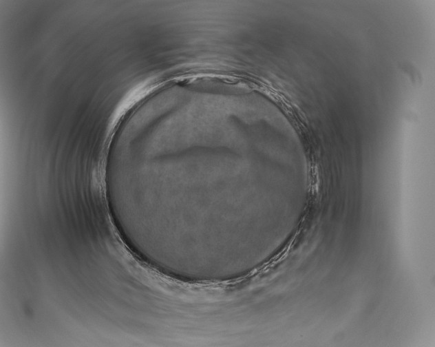 X0000110890004200907021527