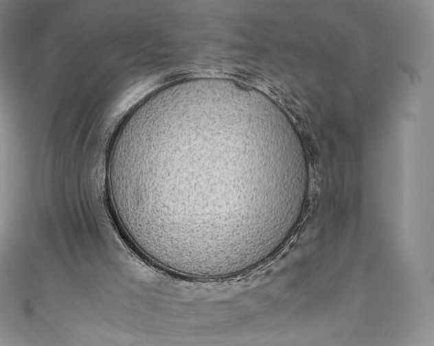 X0000110890005200907021527