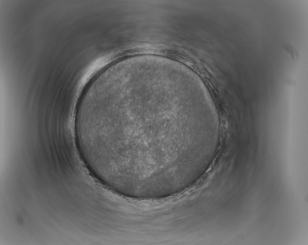 X0000110890006200907021527