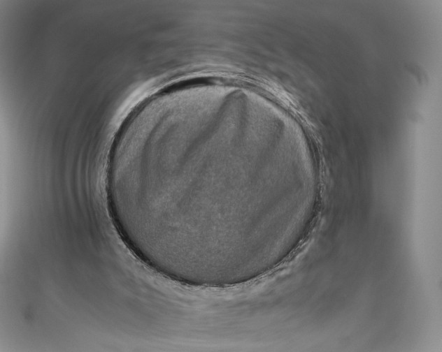 X0000110890007200907021527