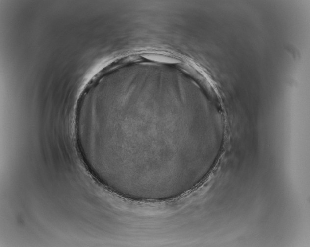 X0000110890008200907021527