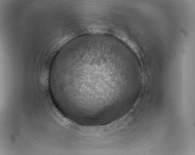 X0000110890009200907021526