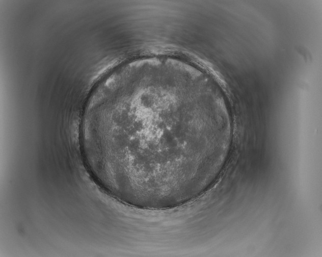 X0000110890010200907021526