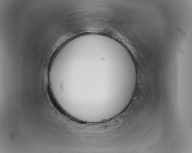 X0000110890011200907021526