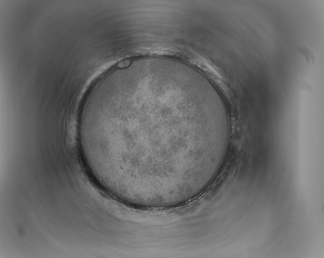 X0000110890012200907021526