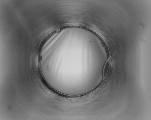 X0000110890013200907021526