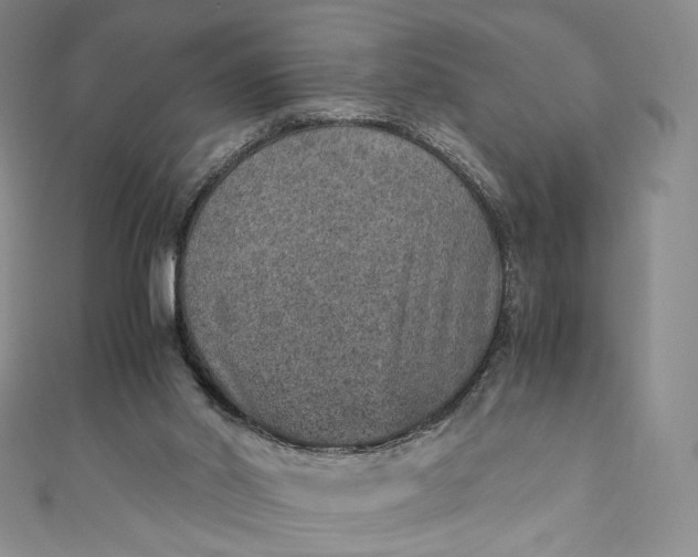 X0000110890014200907021526