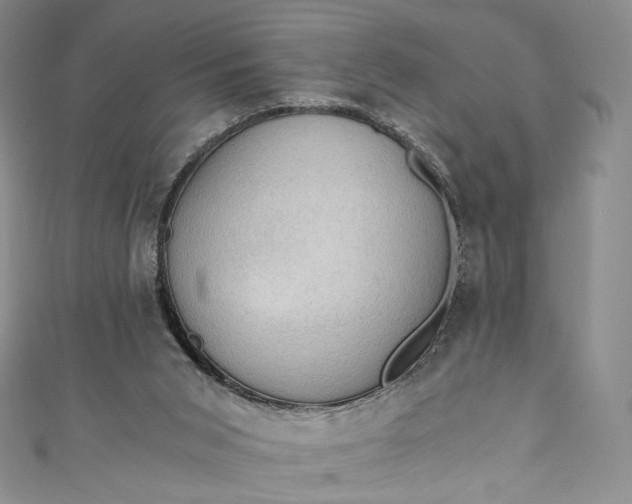 X0000110890015200907021526