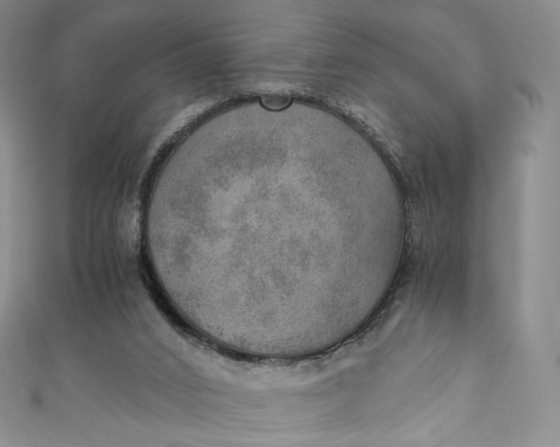 X0000110890016200907021526