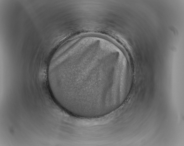 X0000110890017200907021526