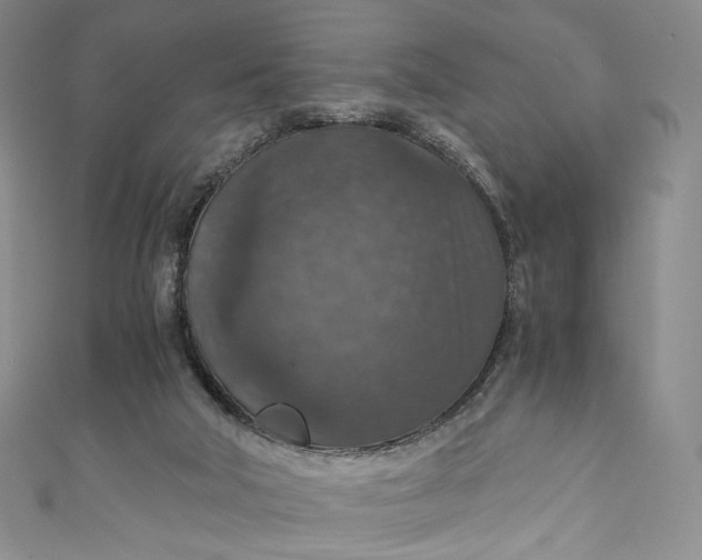 X0000110890018200907021526