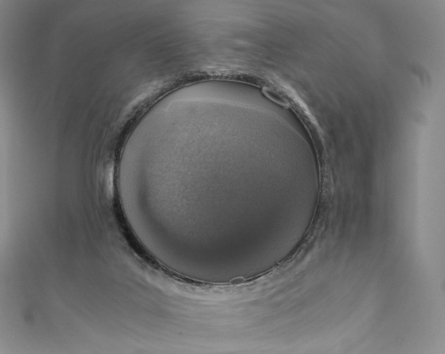 X0000110890019200907021526