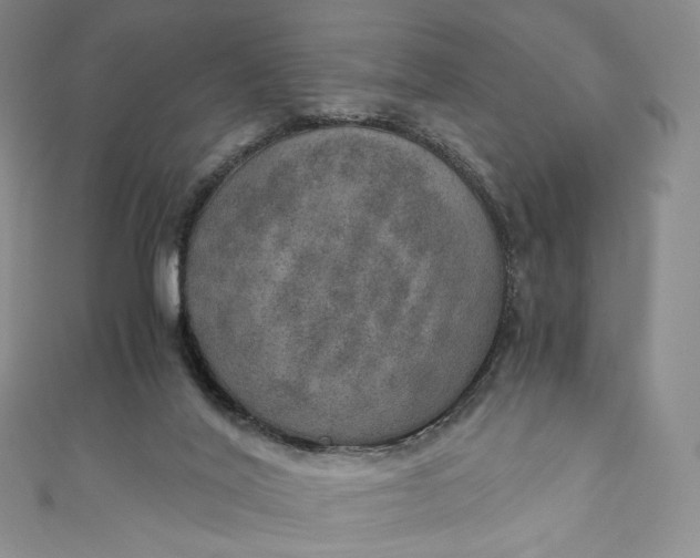 X0000110890020200907021526