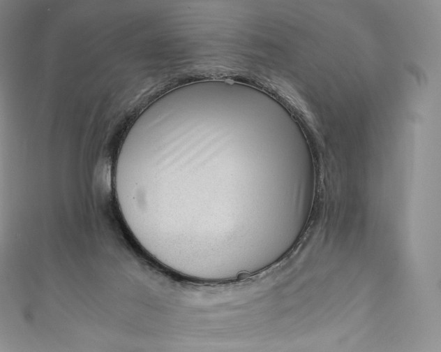 X0000110890021200907021526