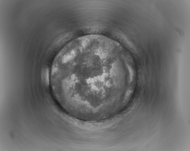 X0000110890022200907021526