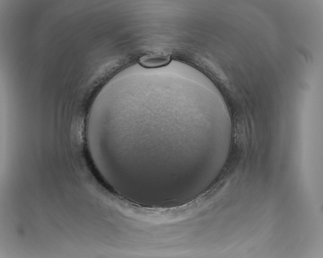 X0000110890023200907021526