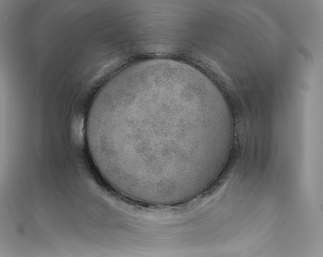 X0000110890024200907021526