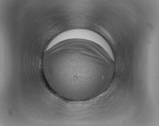 X0000110890025200907021526